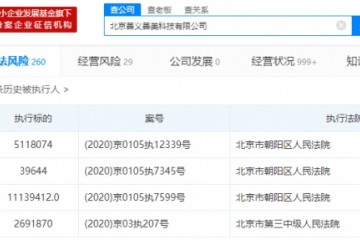 人人车相关公司成被履行人履行标的超500万