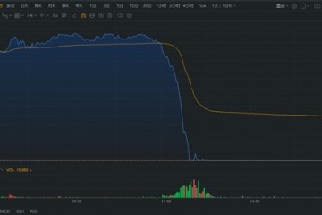 中国中免闪崩跌停多只重仓股跟风跌停兴全董承非连环踩雷