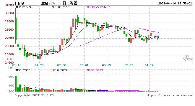 猪肉价格连降至低点后市还有下滑空间吗