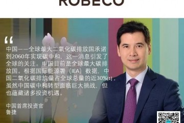 中国迈向碳中和之路蕴藏大量投资机遇