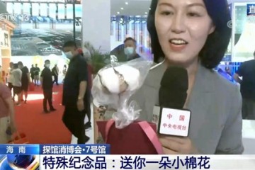 消博会新疆馆特产供不用求送你一朵小棉花受到欢迎