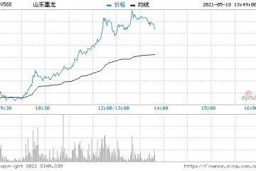 再获增持山东墨龙A股涨停H股一度暴涨50%创阶段新高