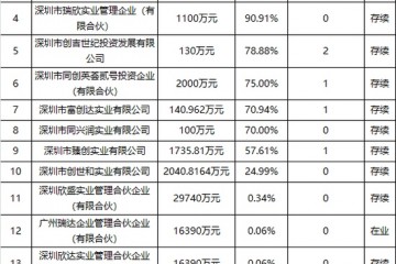 同创地产空壳之谜面临内部离职员工举报涉嫌旁氏流转