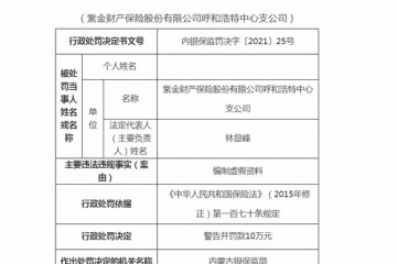 紫金财险呼和浩特中支被罚10万编制虚假资料