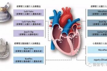 健世科技冲刺港交所年亏3亿高瓴与春华资本是股东