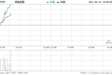 领地控股拟发行于2022年到期1.5亿美元12%优先票据